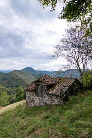 Finca rústica en Pi-4 s/n