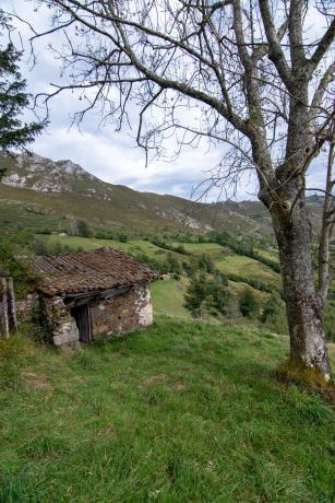 Finca rústica en Pi-4 s/n