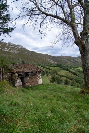 Finca rústica en Pi-4 s/n