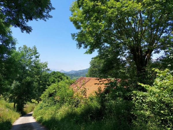 Finca rústica en Onceño s/n