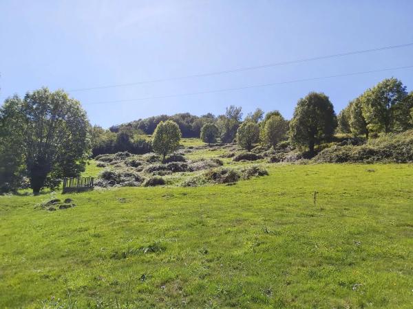 Finca rústica en Onceño s/n