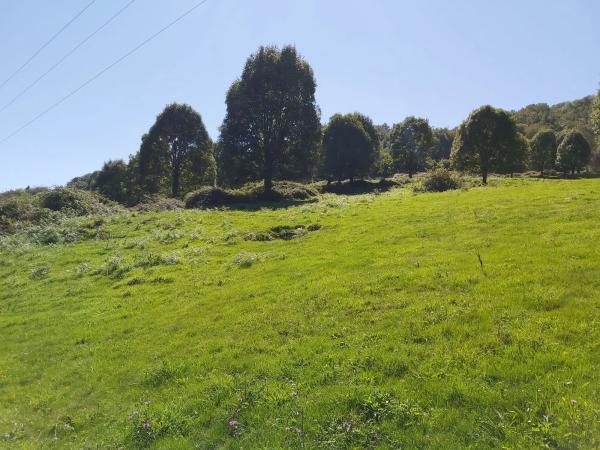 Finca rústica en Onceño s/n