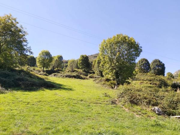 Finca rústica en Onceño s/n