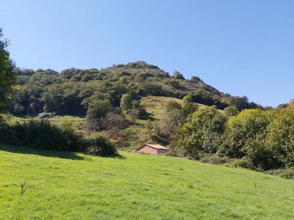 Finca rústica en Onceño s/n