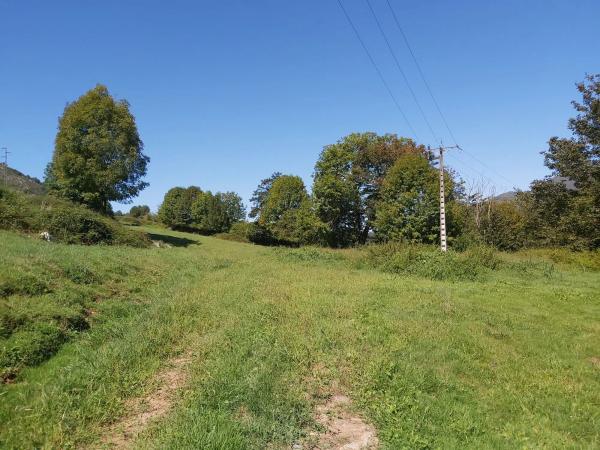 Finca rústica en Onceño s/n