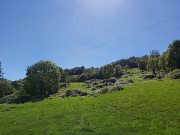 Finca rústica en Onceño s/n