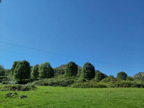 Finca rústica en Onceño s/n