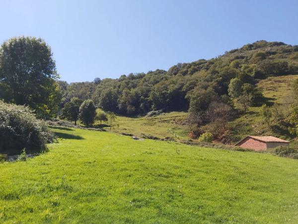 Finca rústica en Onceño s/n