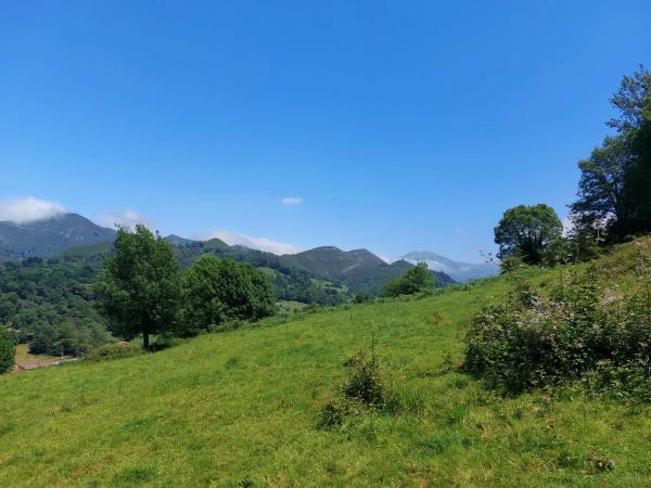 Finca rústica en Onceño s/n