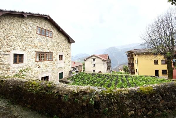 Caserón en Peñamellera Alta