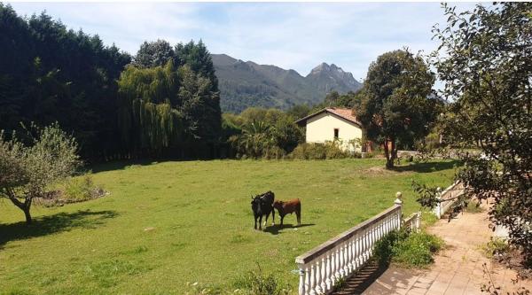 Casa de pueblo en camino Ovio, 7