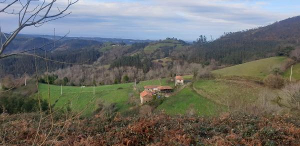 Casa de pueblo en Caserio Vista Alegre s/n Colunga
