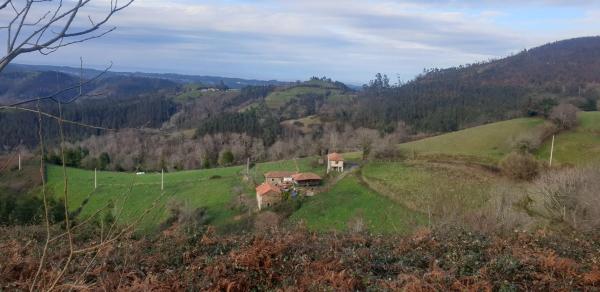 Casa de pueblo en Caserio Vista Alegre s/n Colunga