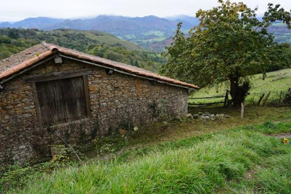 Finca rústica en Lugar Sieres, 18