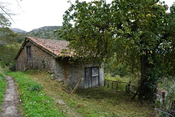 Finca rústica en Lugar Sieres, 18