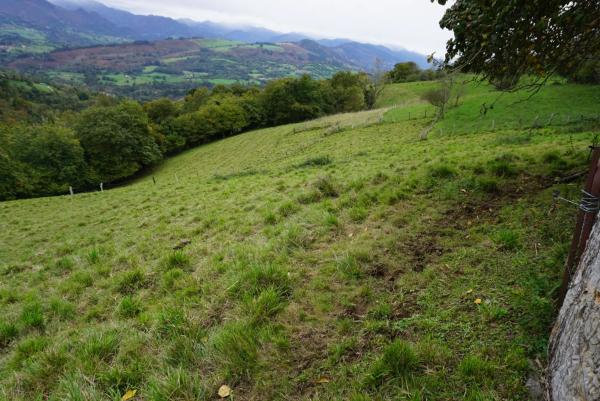 Finca rústica en Lugar Sieres, 18