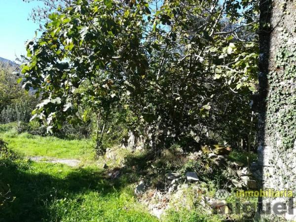 Casa independiente en Collada, La