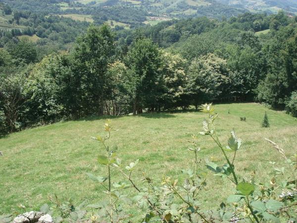Finca rústica en Lugar San Martin, 20