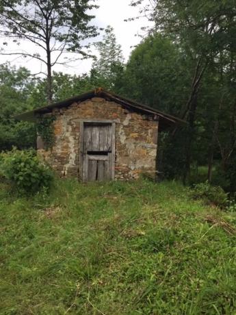 Finca rústica en calle La s/n Sn