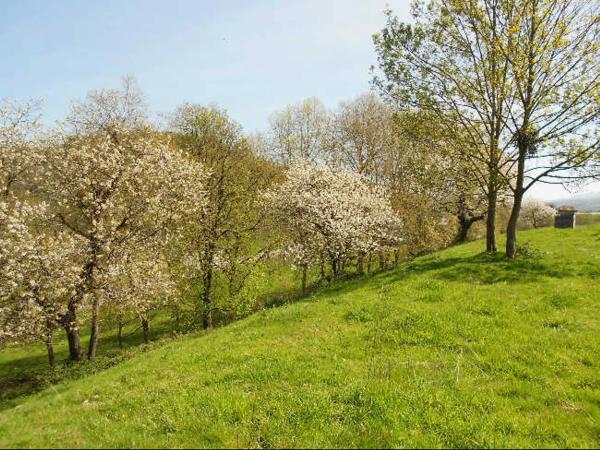 Casa independiente en carretera N-634