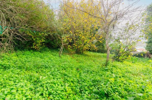 Casa independiente en calle José María Velasco Álvarez, 1