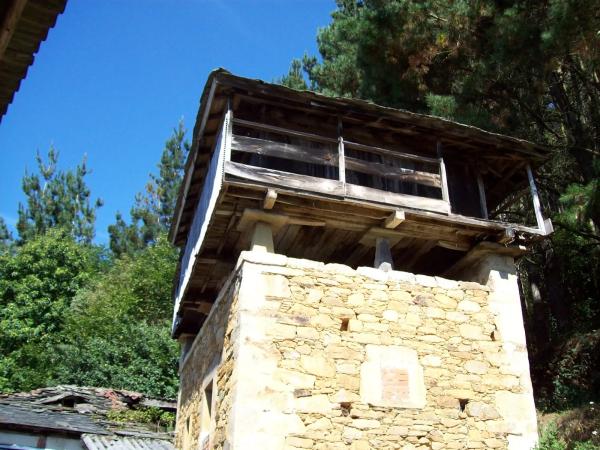 Finca rústica en poligono 303, parcela 321-322, 321 -322