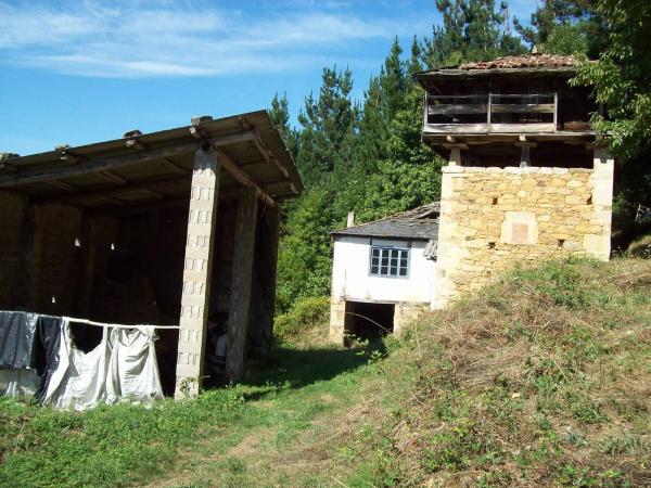 Finca rústica en poligono 303, parcela 321-322, 321 -322