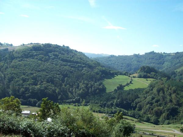 Finca rústica en poligono 303, parcela 321-322, 321 -322