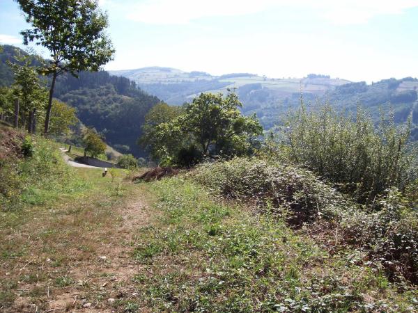 Finca rústica en poligono 303, parcela 321-322, 321 -322