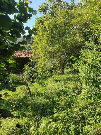 Casa rural en calle José María Velasco Álvarez, 1