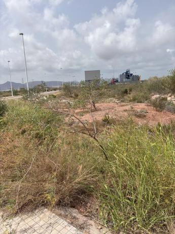 Terreno en avenida Cassola