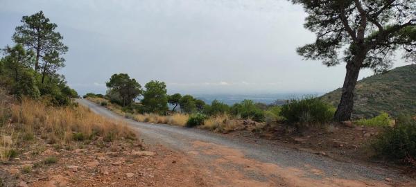 Terreno en via Pista, 328