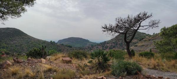 Terreno en via Pista, 328