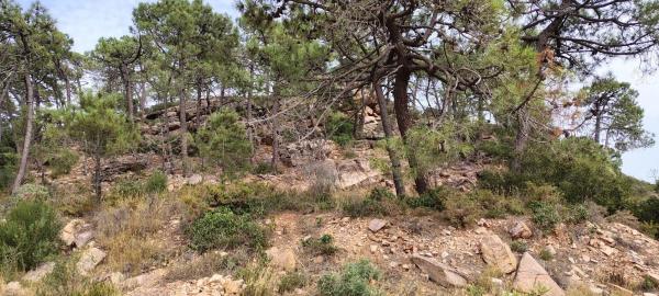 Terreno en via Pista, 328