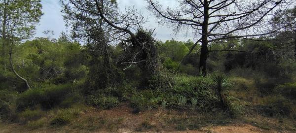 Terreno en via Pista, 328