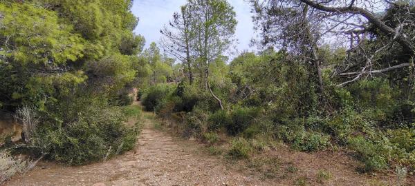 Terreno en via Pista, 328