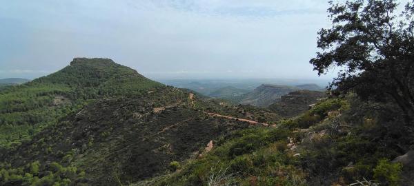 Terreno en via Pista, 328