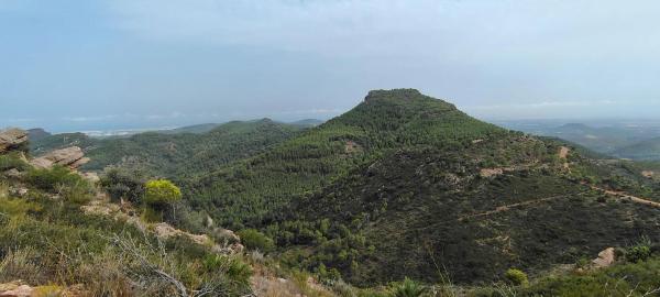 Terreno en via Pista, 328