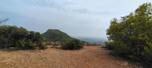 Terreno en via Pista, 328