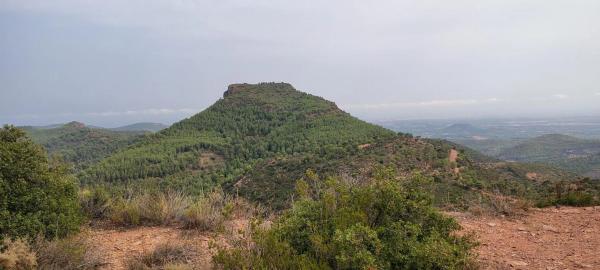 Terreno en via Pista, 328