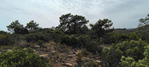 Terreno en via Pista, 328