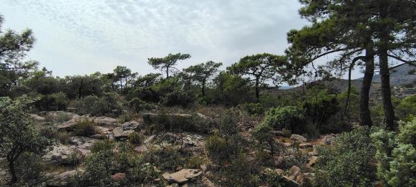 Terreno en via Pista, 328