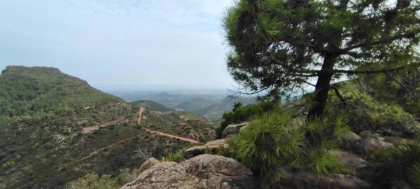 Terreno en via Pista, 328