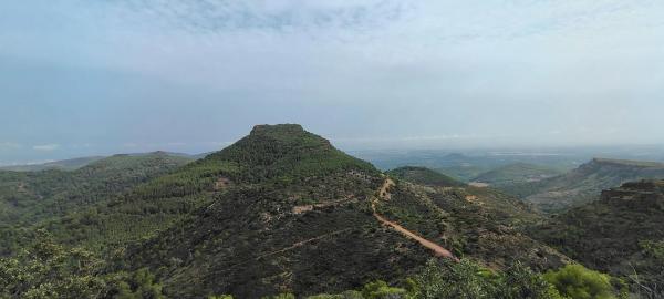 Terreno en via Pista, 328