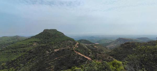Terreno en via Pista, 328
