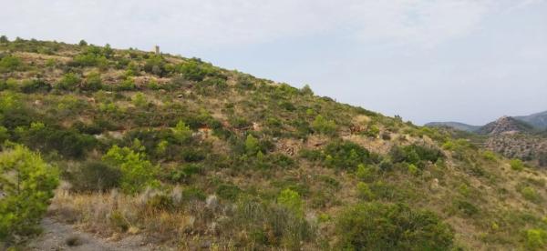 Terreno en Urbanización la Malla, 214