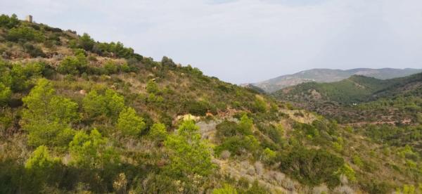 Terreno en Urbanización la Malla, 214