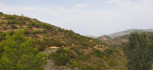 Terreno en Urbanización la Malla, 214