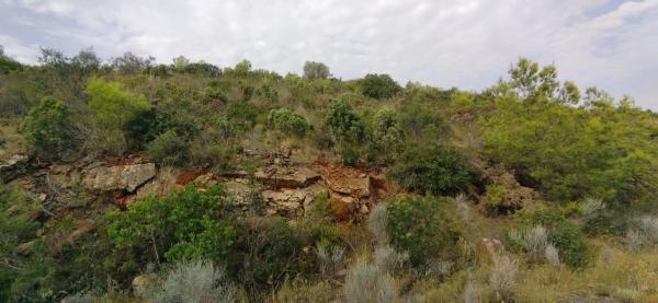 Terreno en Urbanización la Malla, 214