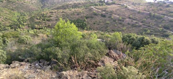 Terreno en Urbanización la Malla, 214